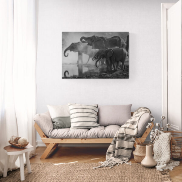 Canvas Wall Art - 1000 x 1000 - Rhino | Steglio