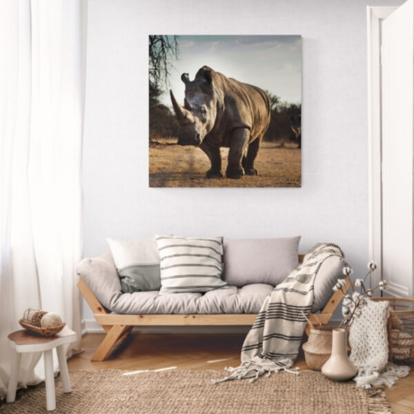 Canvas Wall Art - 1000 x 1000 - Rhino | Steglio
