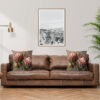Proteas Scatter Cushions | Steglio - Living in Style