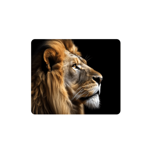 Big Five Coasters - Set of 6 - 10cm x 10cm - Steglio