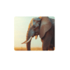 Big Five Coasters - Set of 6 - 10cm x 10cm - Steglio