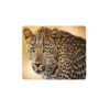 Big Five Coasters - Set of 6 - 10cm x 10cm - Steglio