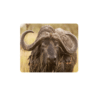 Big Five Coasters - Set of 6 - 10cm x 10cm - Steglio