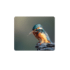 Birdlife Coasters - Set of 6 - 10cm x 10cm - Steglio