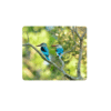 Birdlife Coasters - Set of 6 - 10cm x 10cm - Steglio