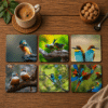 Birdlife Coasters - Set of 6 - 10cm x 10cm - Steglio