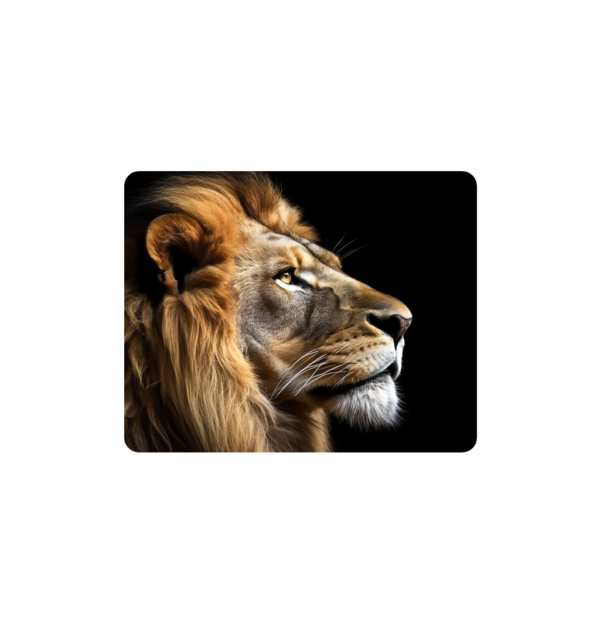The Big Five Placemats - Set of 6 - 40cm x 30cm - Steglio